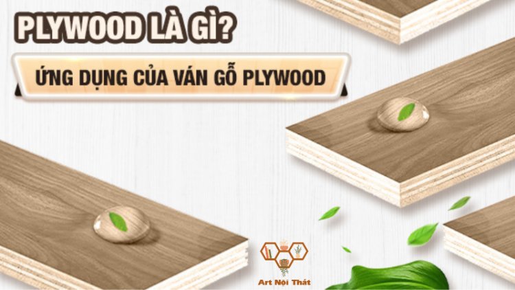 Gỗ Plywood Là Gì? Tất Cả Những Điều Bạn Cần Biết Trước Khi Sử Dụng